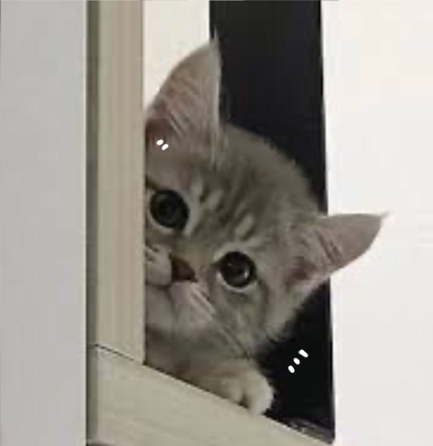 :¨·.·¨:
 `·.. Peek a boo !!!
