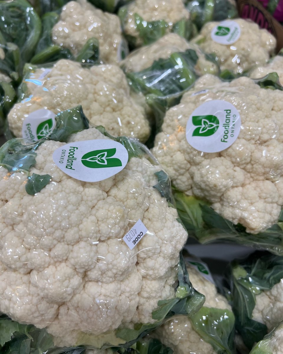 Galati Market Fresh tweet media