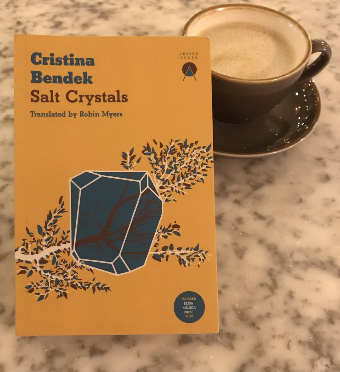 Josh Weeks (@josh_weeks10) on Twitter photo Really enjoying SALT CRYSTALS by <a href="/CristinaBendek/">Cristina Bendek</a>, translated by @robin_ep_myers - thank you <a href="/CharcoPress/">Charco Press</a>! Really enjoying SALT CRYSTALS by <a href="/CristinaBendek/">Cristina Bendek</a>, translated by @robin_ep_myers - thank you <a href="/CharcoPress/">Charco Press</a>!