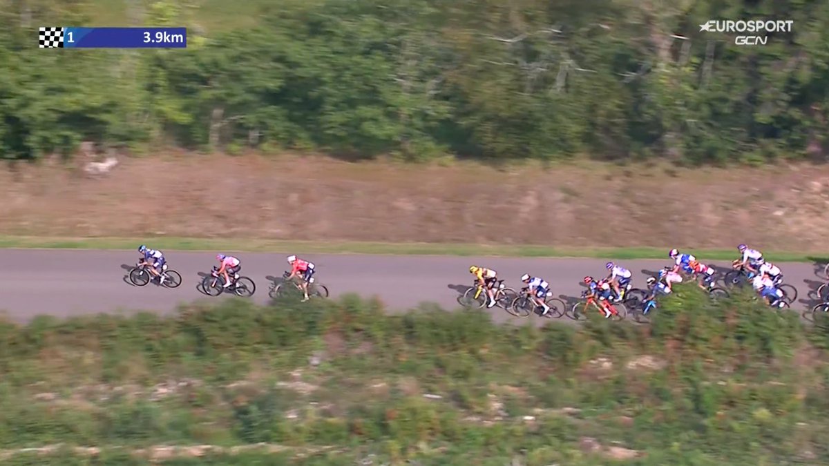 picnicpostnl's tweet photo. Lippert is caught and now @eglantine_rayer ups the pace 🔥 

#ClassicLorientAgglomeration https://t.co/Y5kh0ceEnE