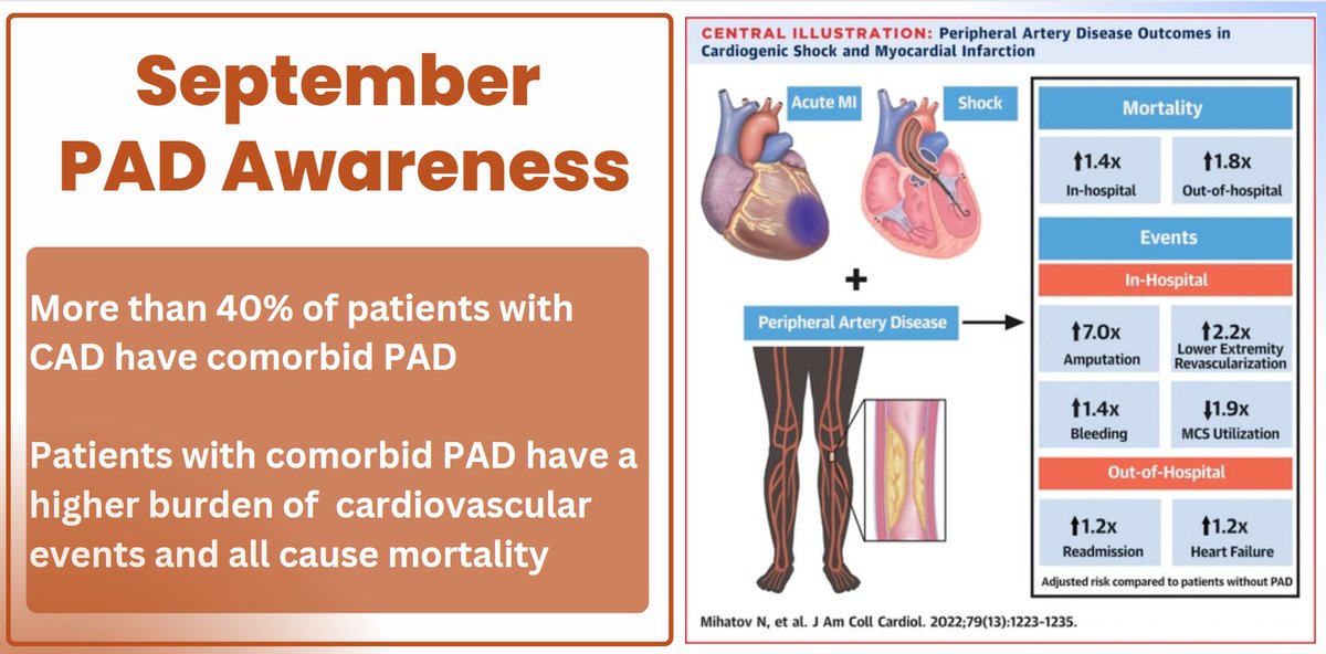 September is #PADAwareness Month Pts with PAD presenting with AMI + CSG have ⬆️ Mortality ⬆️ Amputation ⬆️ Bleeding ⬇️ MCS Interested to know who is doing alternate access for MCS vs IABP in pts with PAD? @JACCJournals @EricSecemskyMD @JVargheseMD jacc.org/doi/10.1016/j.…