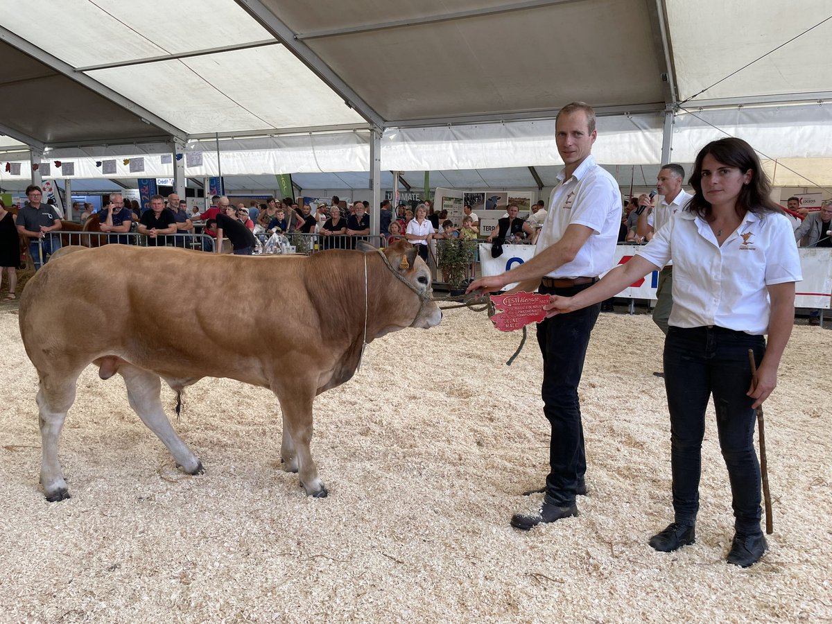 Texas champion jeune mâle du concours parthenais.