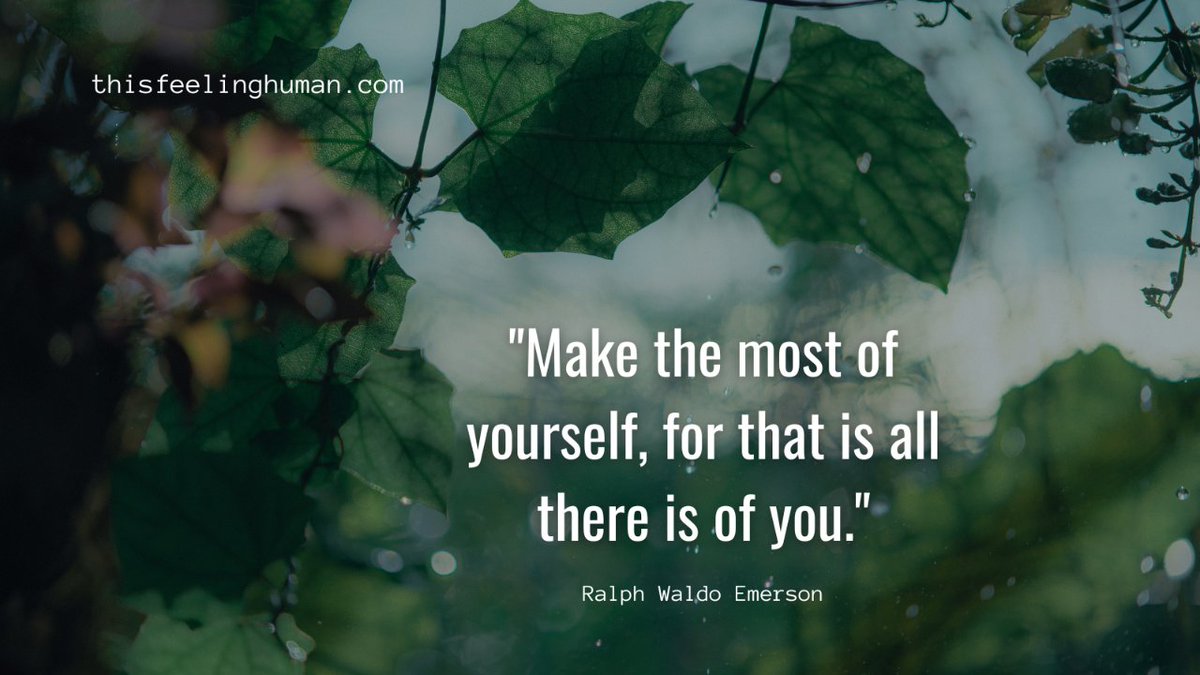thisfeelinghum1's tweet photo. Embrace your uniqueness and shine, because within you lies your greatest potential. 🌟

Visit https://t.co/FwypxZrtKv

#beyourbestself #UnleashYourPotential #dailyinspiration #ralphwaldoemerson #motivationalquotes #feelinghuman https://t.co/55F5NygtDK