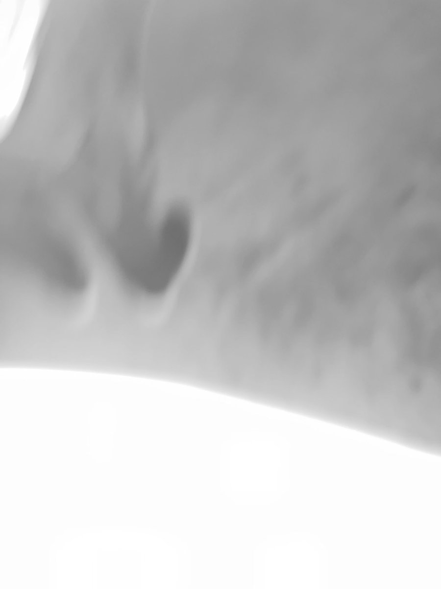 bbsメンバーのイカしたライブ見てきたよ👁️👁️
<a href="/BBStructure/">BLANK BLANK STRUCTURE</a> 
-夜はいつでも回転している-
<a href="/JIK_peoplejam/">JIK PJ</a> 
-idő-
<a href="/nkchiakey/">Chiaki Nakayama</a> 

みんなエッジが効いててカッコいい🧠

11/9 <a href="/BBSTREET/">B.B.STREET YOKOHAMA</a> にて
なんと3人それぞれのライブで
一緒になりますので是非お楽しみに🤲