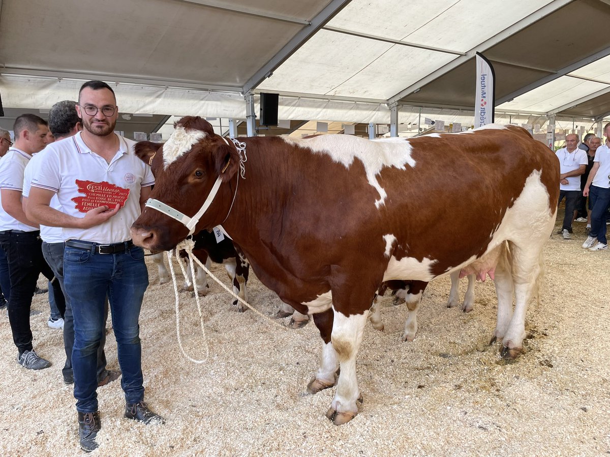 Merveille de l’élevage Ménard, championne femelle adulte <a href="/rougedespres/">ROUGEDESPRES</a>