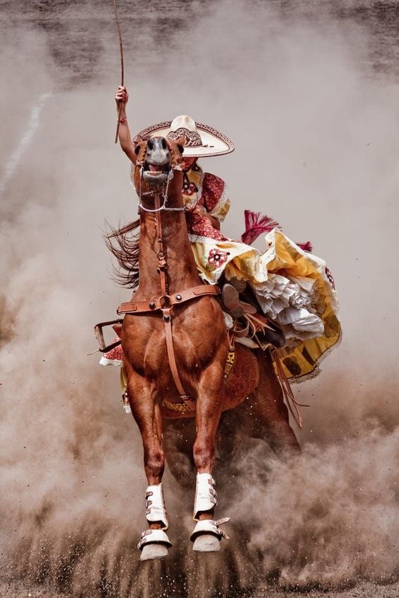 GanaderiayAgro's tweet photo. Charrería, Patrimonio cultural inmaterial de la humanidad…y orgullo de México.
#charro #charreria #escaramuza #deportemexicano #charreada #belleza #riendacharra #SerCharro #lienzocharro https://t.co/4C3uQq6oqN