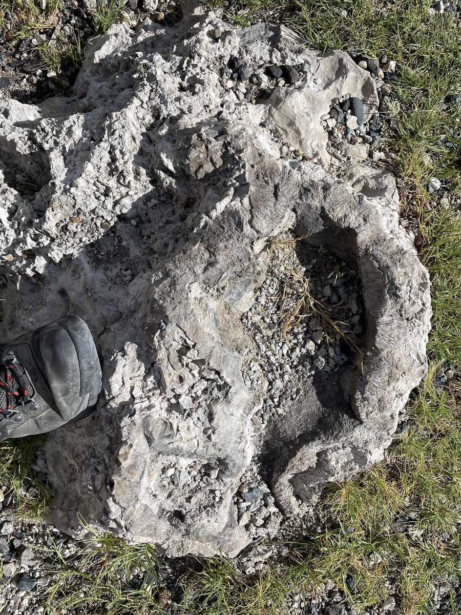 Lowell Institute for Mineral Resources tweet media