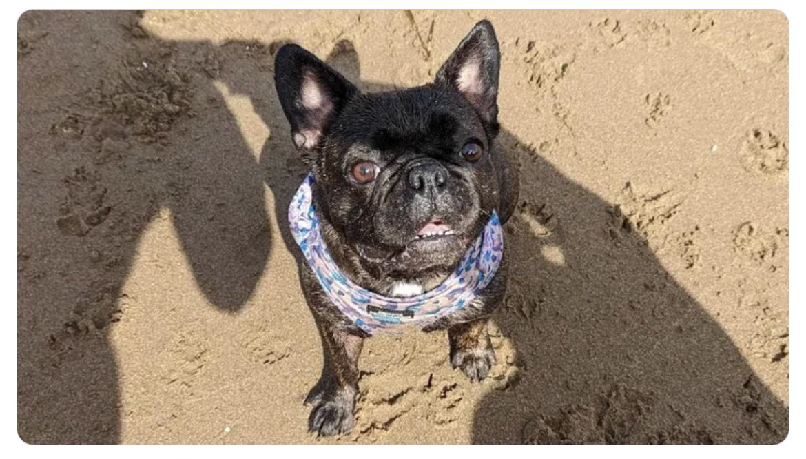 nikki_wrench (she/her) tweet media