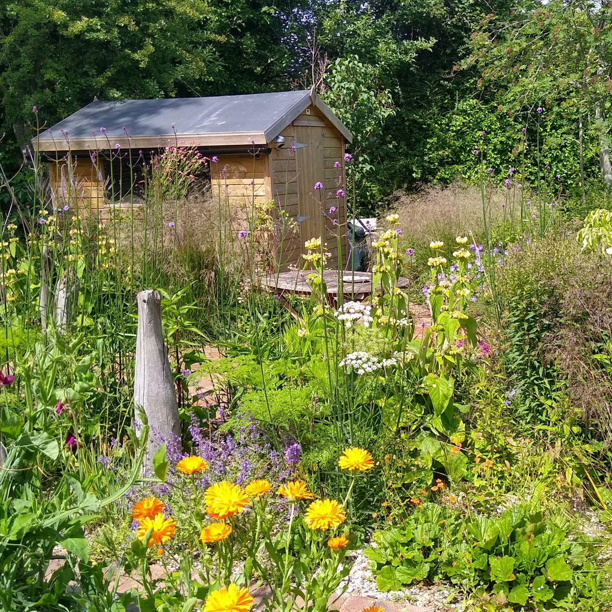 KrisClode's tweet photo. Really excited to say that the wildlife friendly coastal garden I designed near Rye will be featured on @GWandShows episode 24 on Friday 8 September BBC2 at 9pm! Presented by @TobyBuckland can't wait to see it! #GardeningX https://t.co/fVEw5z0o58 https://t.co/QstNYqH0AX