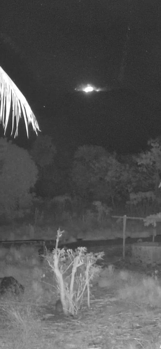 InfoFPMKI's tweet photo. Via CCTV BLD malam ini..masih teramati sinar api serta lava pijar. 🙏  

#PVMBG #PPGA_ILI_LEWOTOLOK #INFO
#PUBLIK_BICARA_LEMBATA
#TAAN_TOU
#MELAPORKAN https://t.co/AvG8nmv3Or