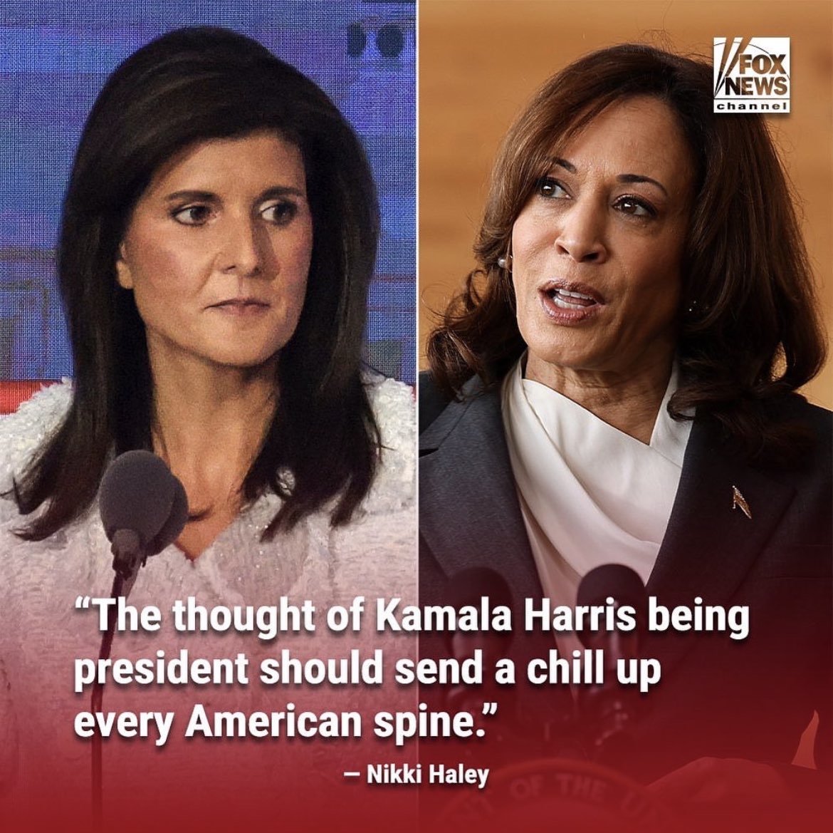 Team Haley tweet media