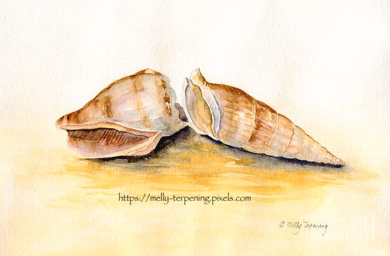 New artwork -'Sea Shells 2'- fineartamerica.com/featured/sea-s…
#watercolor #seashells #watercolorpainting #beachhousedecor #beachhouseart