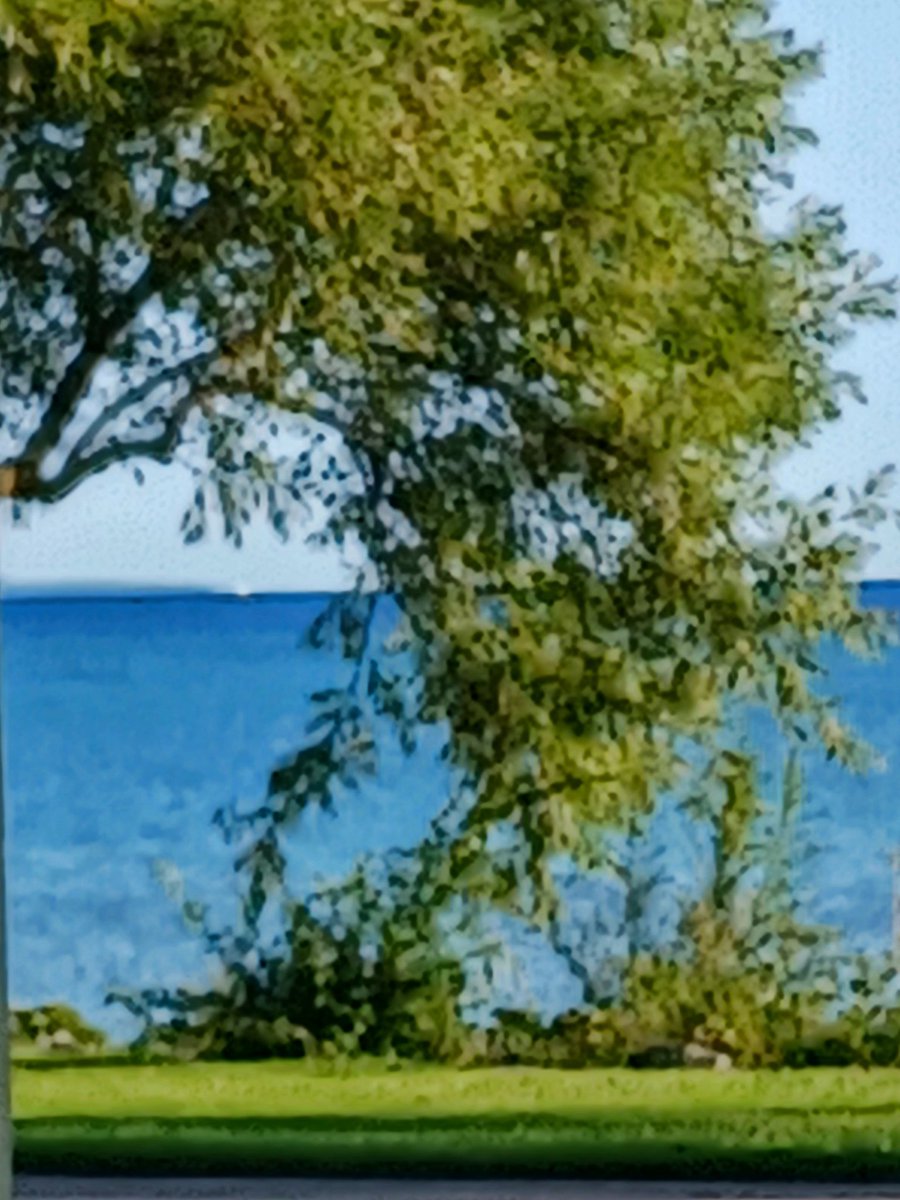 Please have a peaceful day.