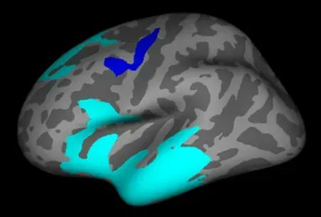 𝕊𝕥𝕦𝕒𝕣𝕥 𝔻. 𝕎. 𝕊𝕞𝕚𝕥𝕙 🇺🇦 tweet media