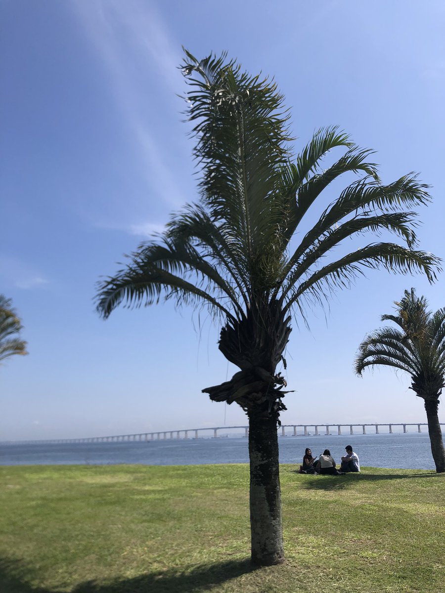 AKB - Associação Keynesiana Brasileira tweet media