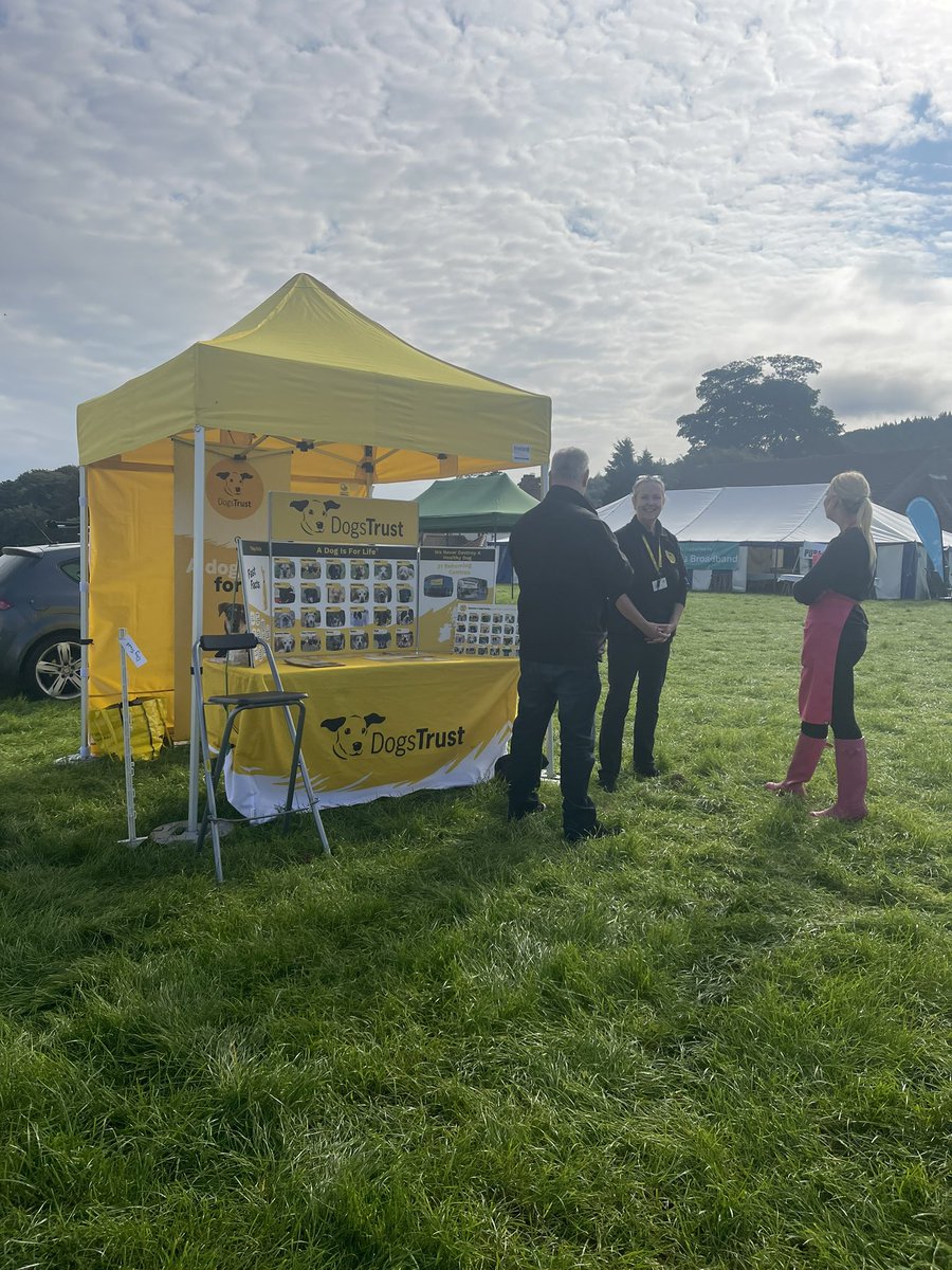 Kildale Show tweet media