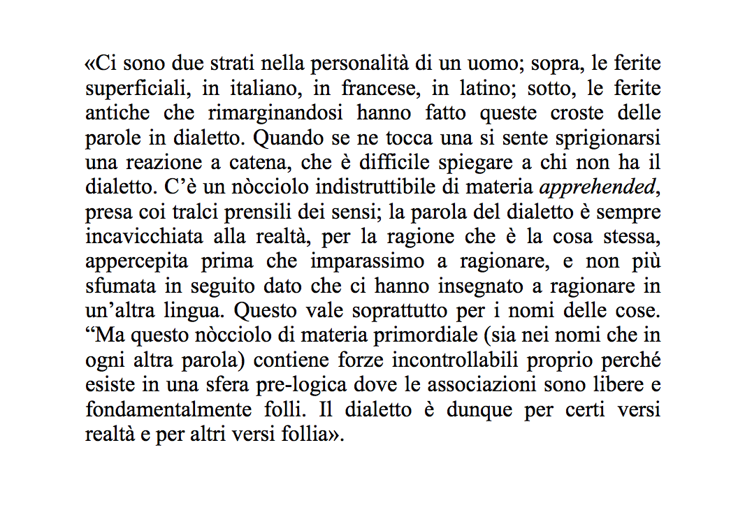 Luigi Meneghello sul dialetto in "Libera nos a malo" (1969).

#dialetto #lingua