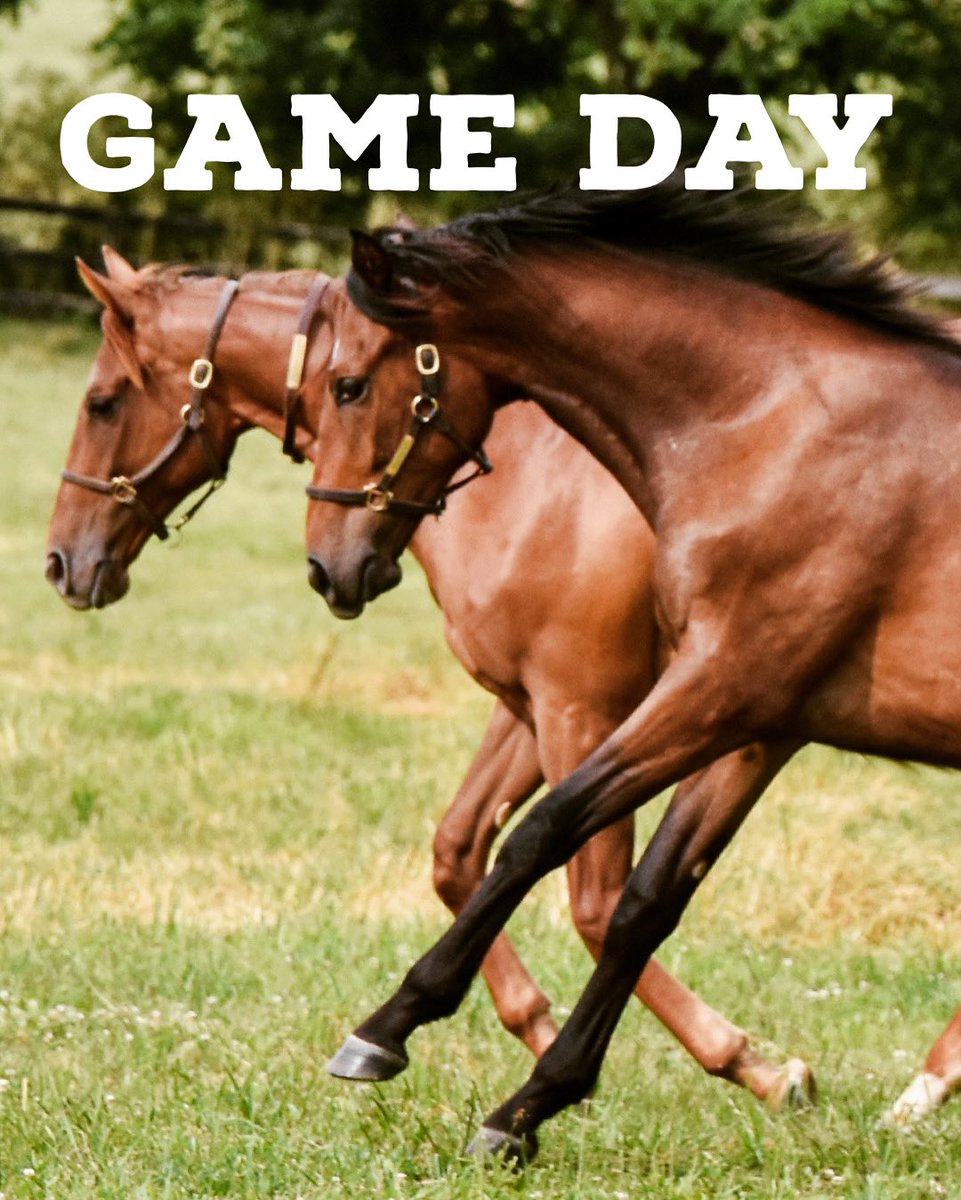 We love September around here. Time to take the field. It’s Game Day!!!  🏈

#bbn #keenelandseptember #saturdayafternoonhorses
#visithorsecountry #visitlex