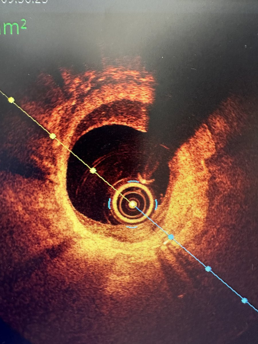 Shazia T Hussain tweet media