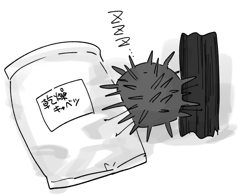 乾燥キャベツと乾燥昆布を抱きしめて寝るウニです