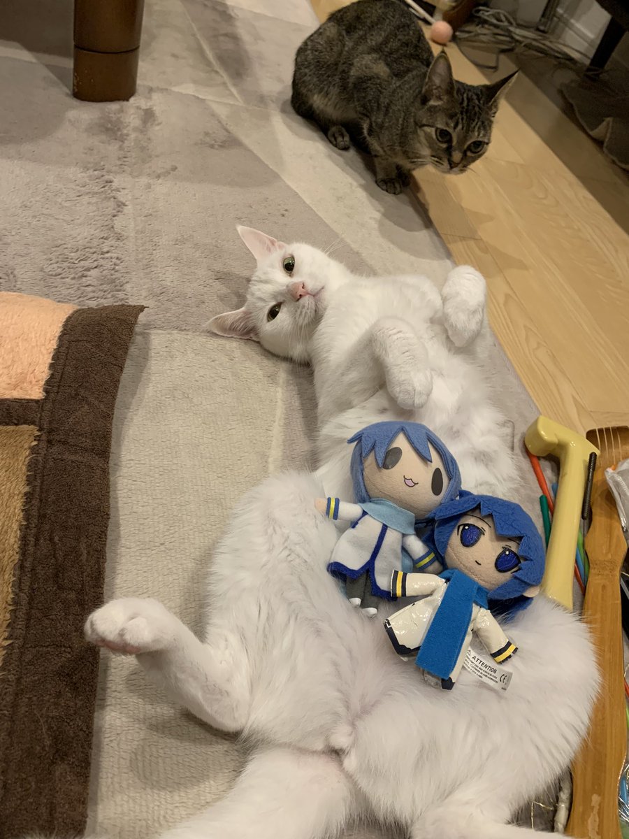 fuganaoto's tweet photo. My daughters relaxing with my sons after playing🥰🥰
now💖💖 https://t.co/M4iG7eJKv5