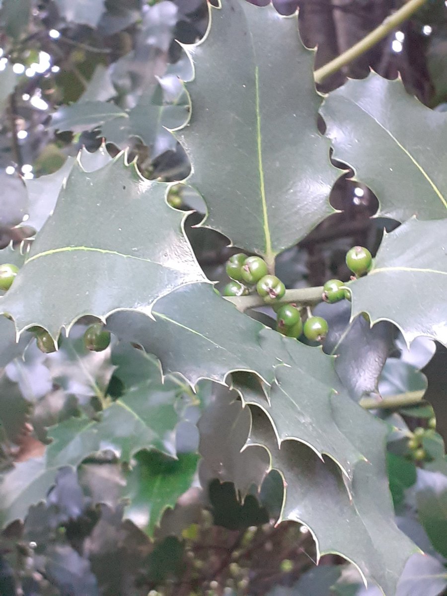 Queréis disfrutar de visitas guiadas?
 674 146 726