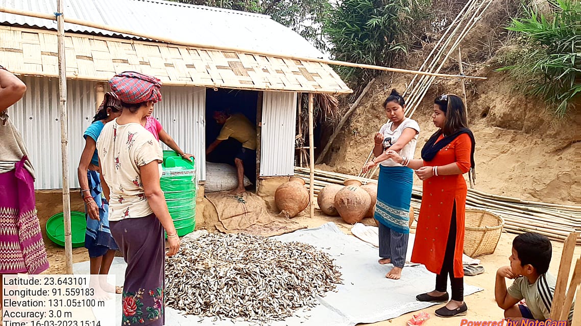 JicaTripura's tweet photo. The members of Khumpui SHG from Killa RMU under Gomati DMU have been working hard, and their patience has paid off. After six months of storage, their dry fish is now ready for sale, and they're earning like never before! @drnkchanchal @ForestTripura @jica_direct_en https://t.co/pZSPrIdsnY