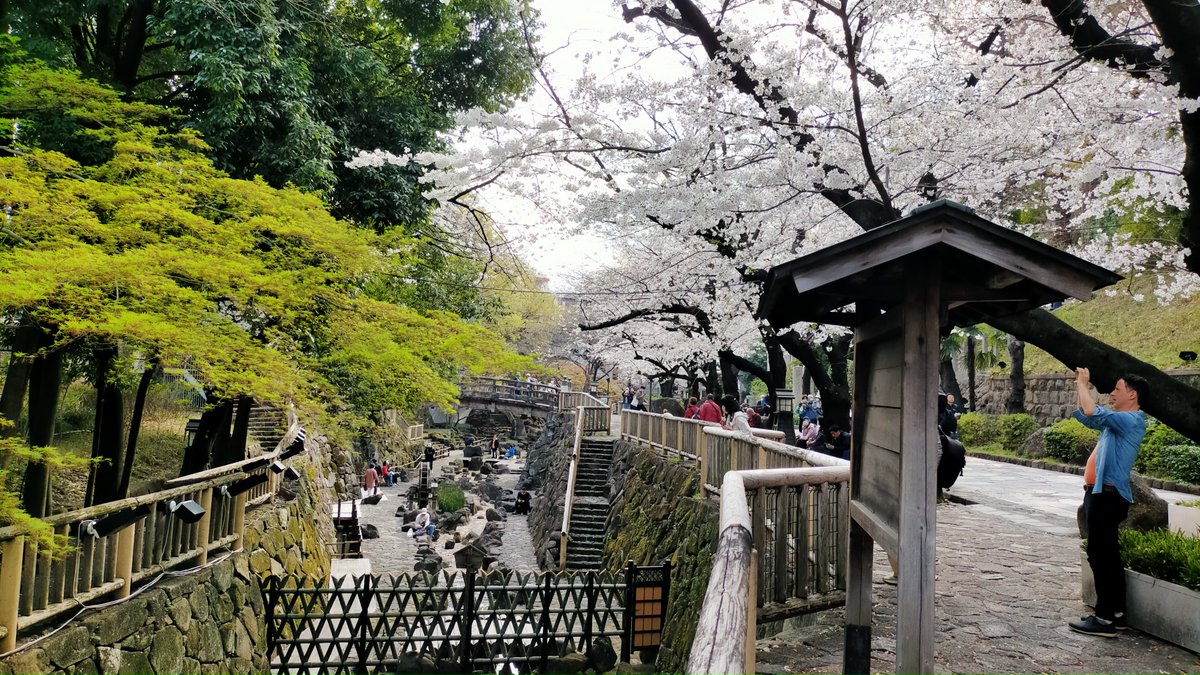 【Otonashi Water Park (音無親水公園)】
This site has been selected as one of the "100 Best Urban Parks" as a model for other parks in Japan.
City: Tokyo, Japan
Photo: March 2023
 [Sakura 23-112]
#CherryBlossoms #CBTH23 #桜

《E-book: Cherry Blossoms》
amazon.com/dp/B0B71DG7Z5