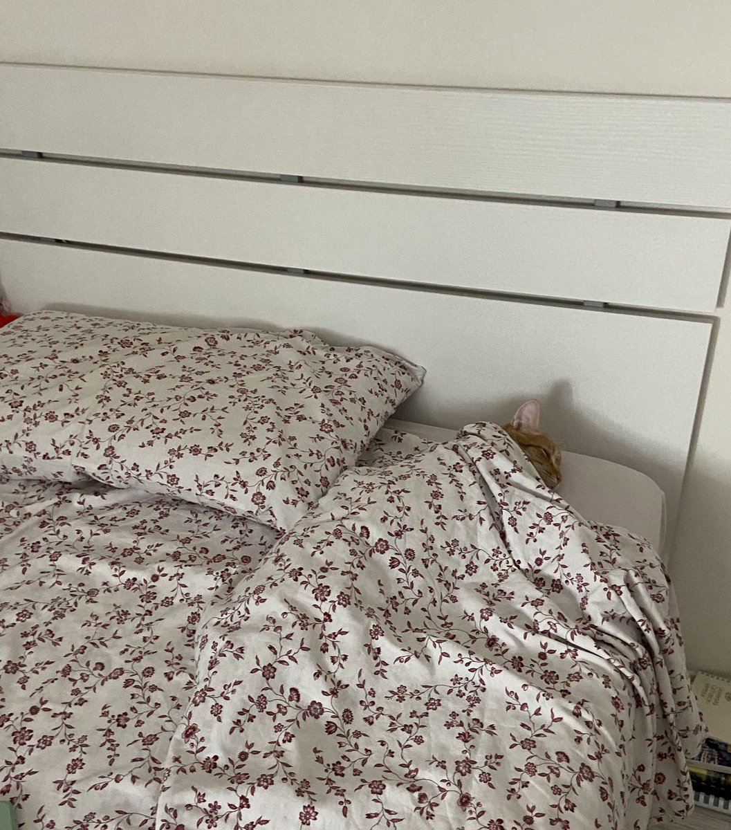 MlCETTO's tweet photo. ho trovato nemo che si è messo a dormire così da solo io sto veramente per morire di PIANTO è tutta la mia vita MIO PICCOLO https://t.co/UvFktotXDo