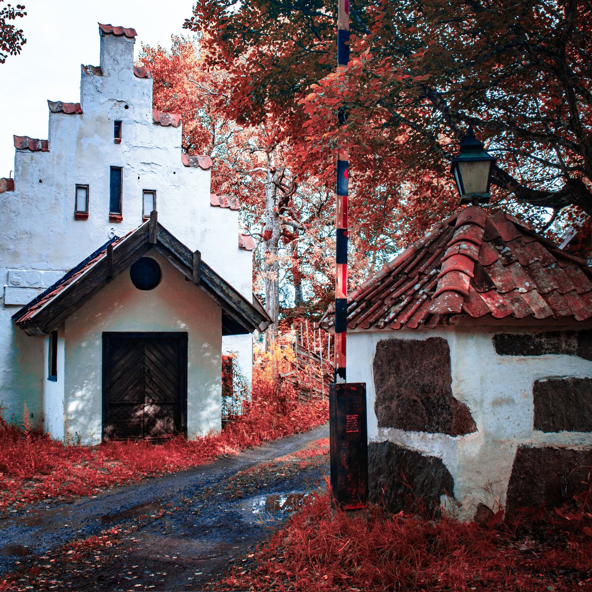 Gary Weeks Photography tweet media