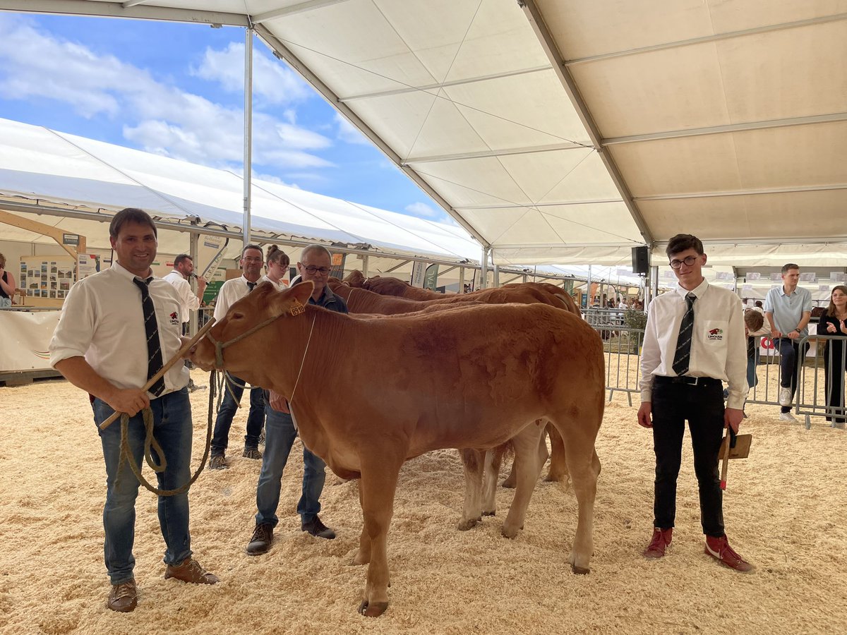 Tulipe, meilleur animal du concours <a href="/RaceLimousine/">LIMOUSINE_OFFICIEL</a> . Bravo à l’élevage Lemesle