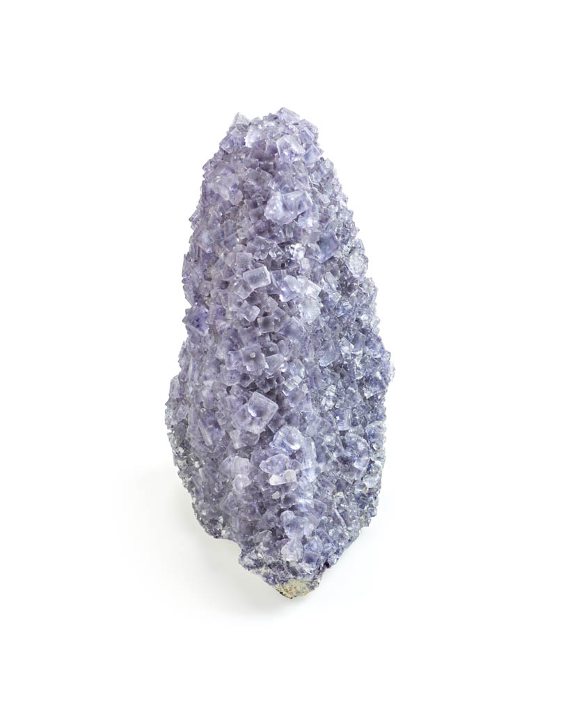 National Museum of Ireland tweet media