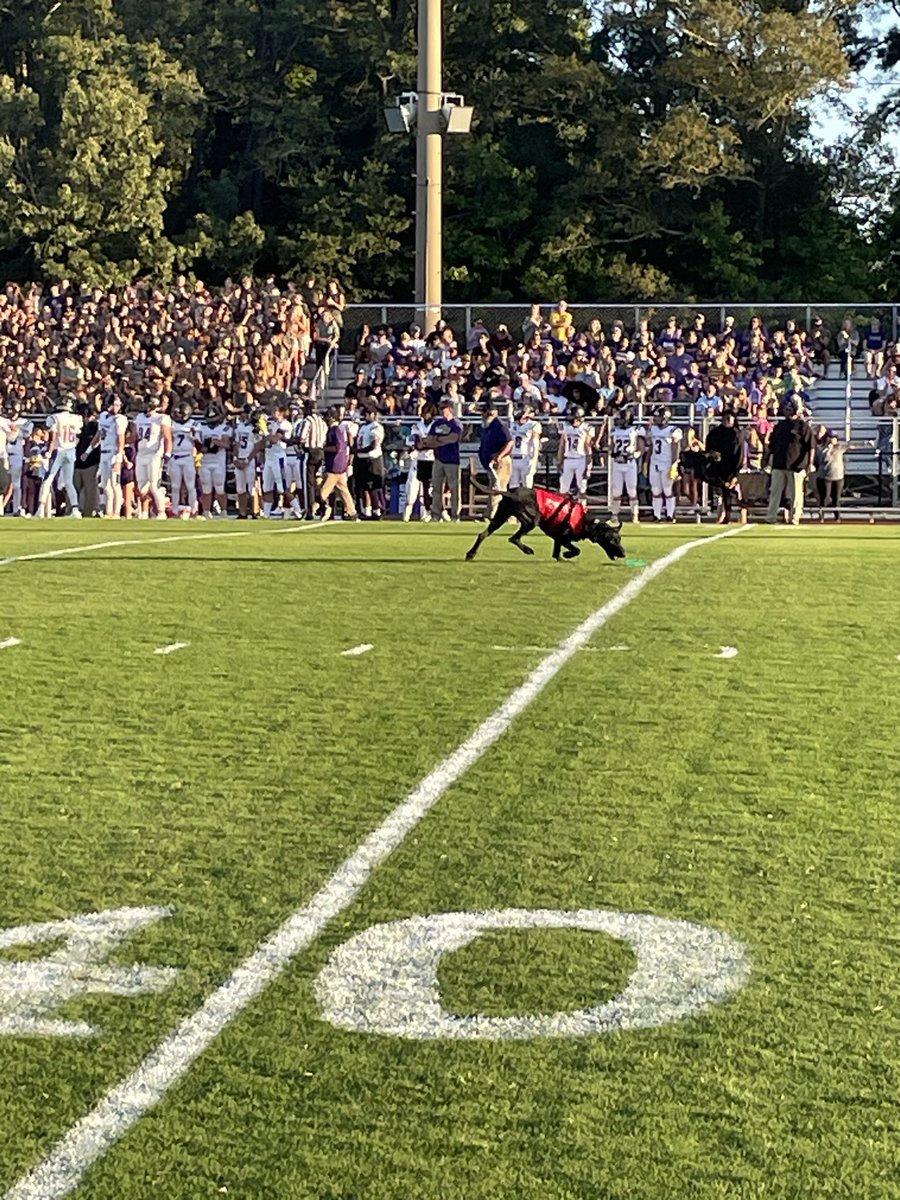 rmjamesfvhs's tweet photo. It wasn’t the home opening victory we wanted but it was a great night to be at FVHS under the Friday Night Lights at Bengal Stadium. https://t.co/HXDTOmoSw2