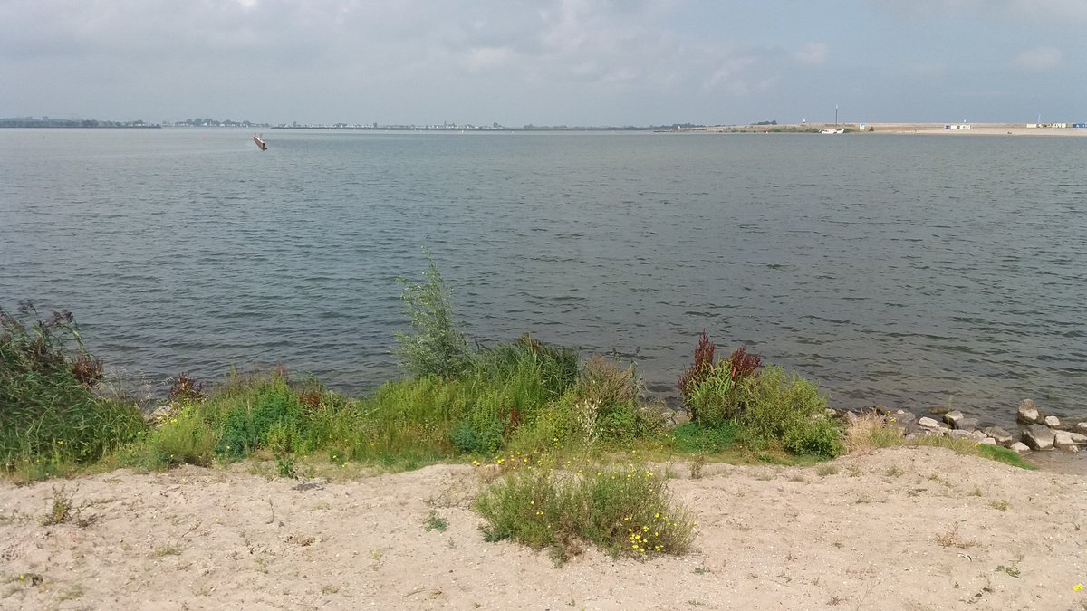 alle Touris sind im Zentrum und am #Strand 😎 in #Amsterdam