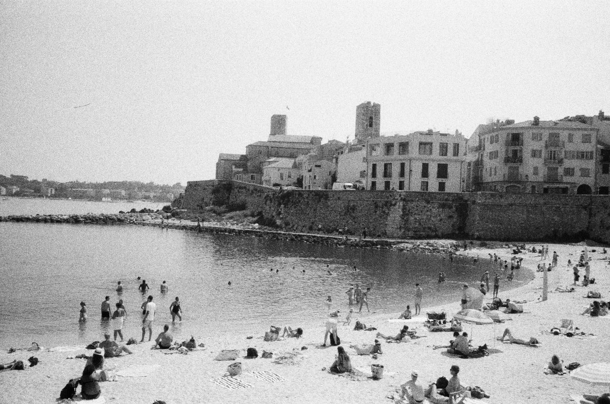 Harper Slone tweet media