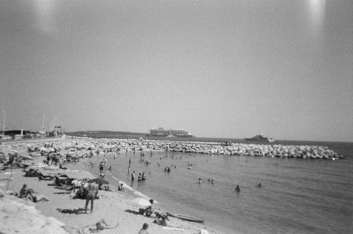 Harper Slone tweet media