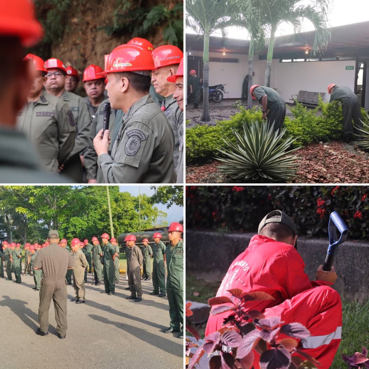 GJ. Domingo Hernández Lárez tweet media