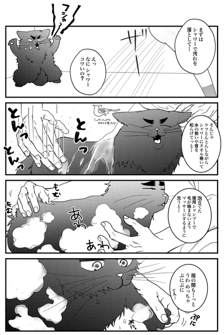 サマーカット✂️🐱[2/3] 