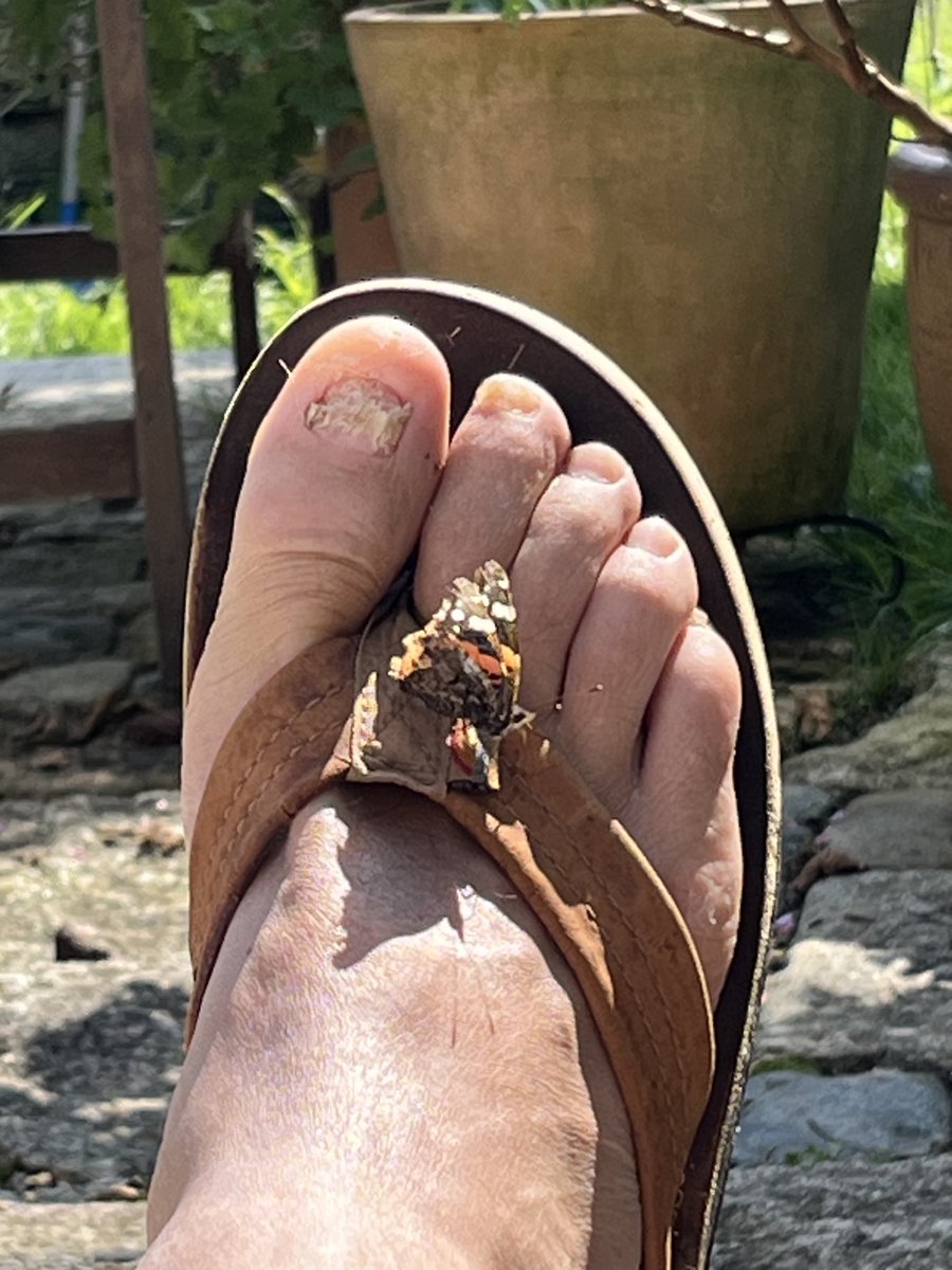 Peter Kirby tweet media