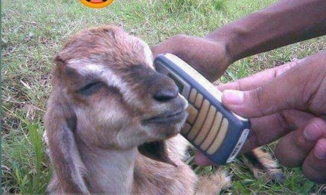 Noedson_tz's tweet photo. Mmeanza kuiripoti account yangu...

Hhhh enndeeni kuiripoti tu mimi sipati chochote kupitia hii account kuma nyie.

Ikiwa suspended ni unyama pia . https://t.co/WqatyuBRxL