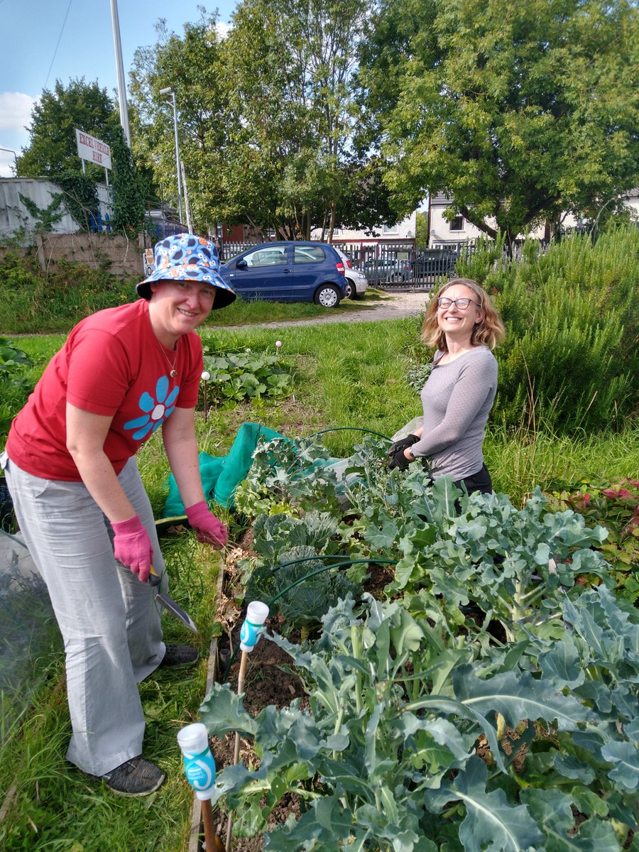 Dig In Community Allotment tweet media
