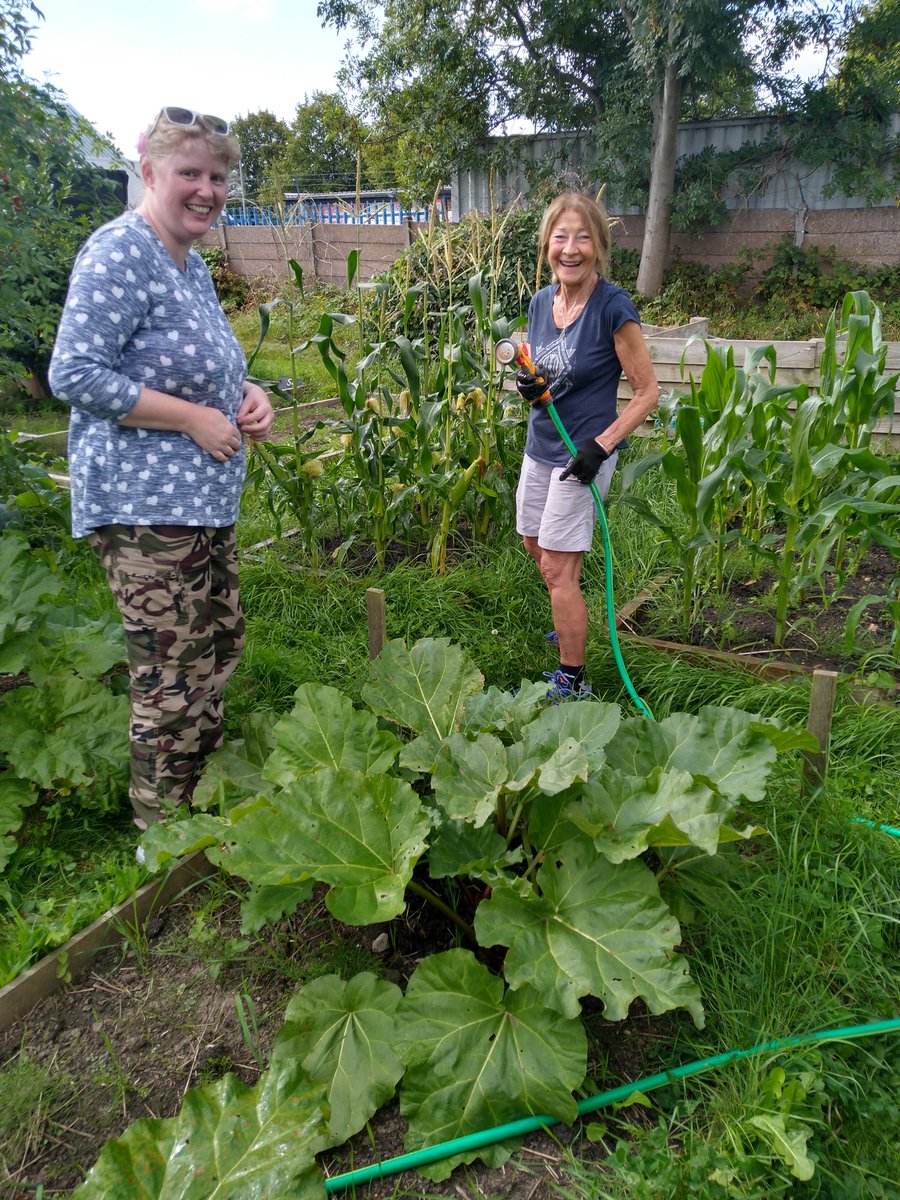 Dig In Community Allotment tweet media