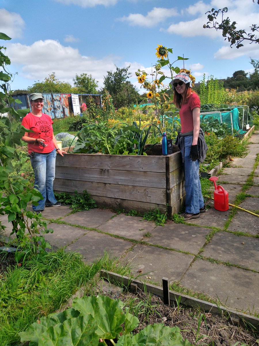 Dig In Community Allotment tweet media