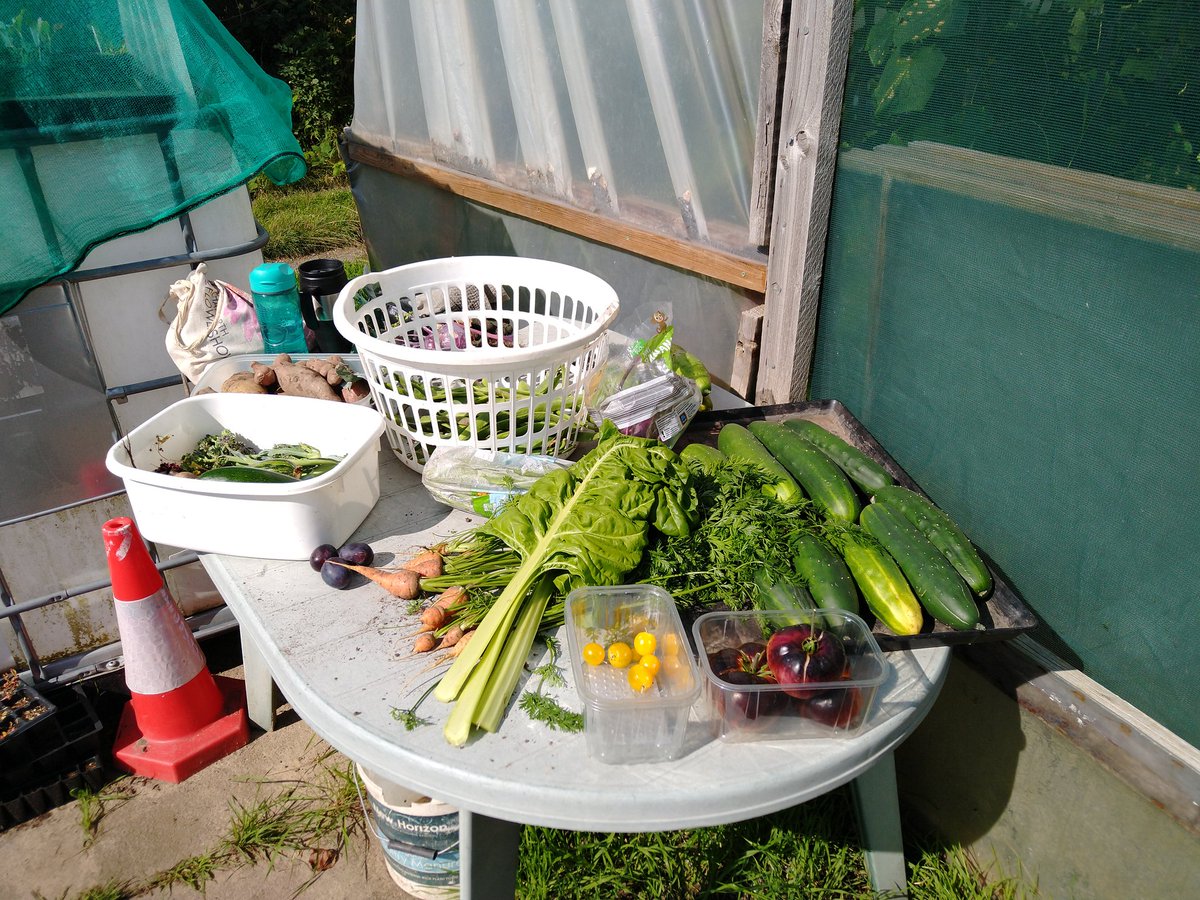 Dig In Community Allotment tweet media