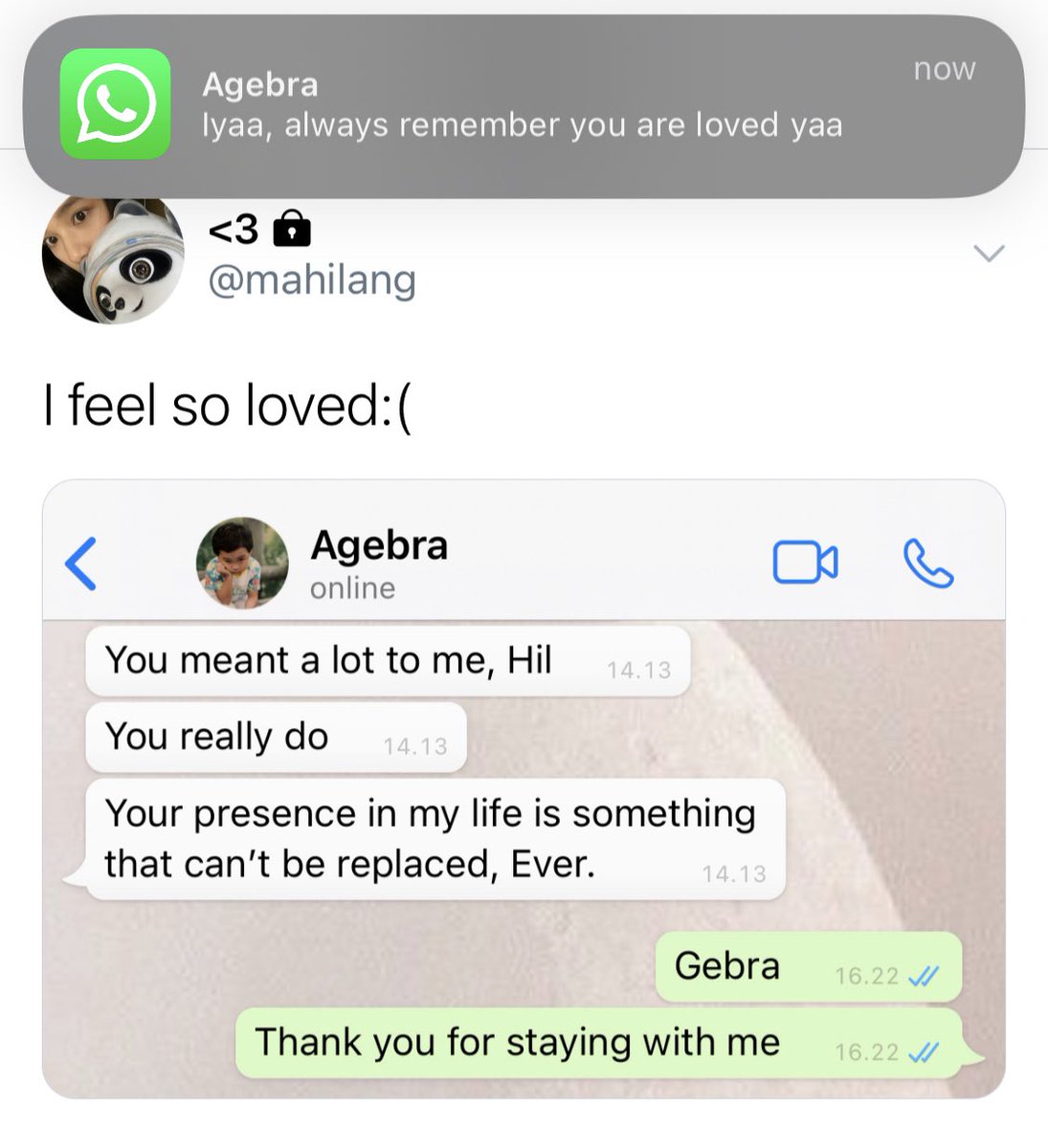 intofairytale's tweet image. 350.