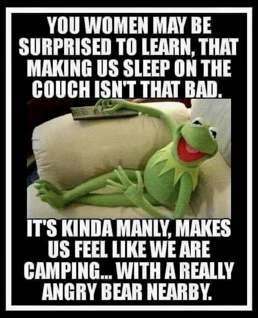 ScrapNetZero's tweet image. 