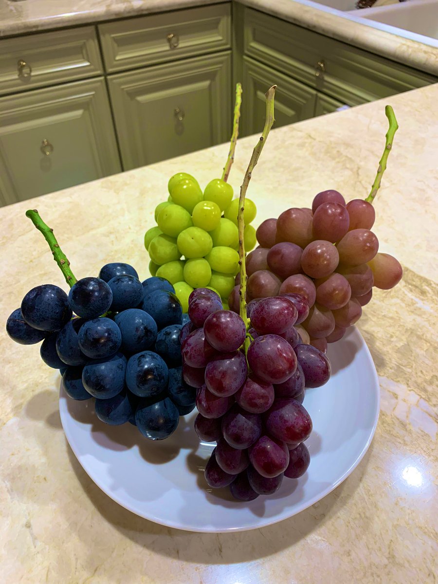 2100housekibako's tweet photo. 2023年路地ぶどう初物✨
第255回プレゼントキャンペーン開催⭐️

🍇応募方法🍇
フォロー＆このツイートをリポストRT
〆切は３日
日曜日２４時まで

路地ぶどう初物【三大天 粒 １ｋｇ】
ナガノパープル❌シャインマスカット❌クイーンルージュ７７７７円相当を抽選で限定３名様に完全無料でプレゼント🎁 https://t.co/RPvUIafiRr