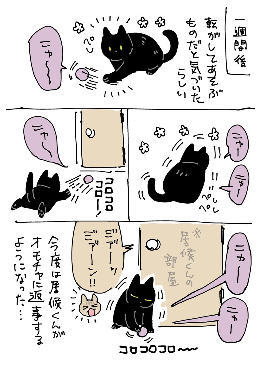 ニャーってかわいい猫の鳴き声がするオモチャを貰ったろんさん(と居候くん)の絵日記 子猫的な存在だと思ったのかな…
#ろんの絵日記 