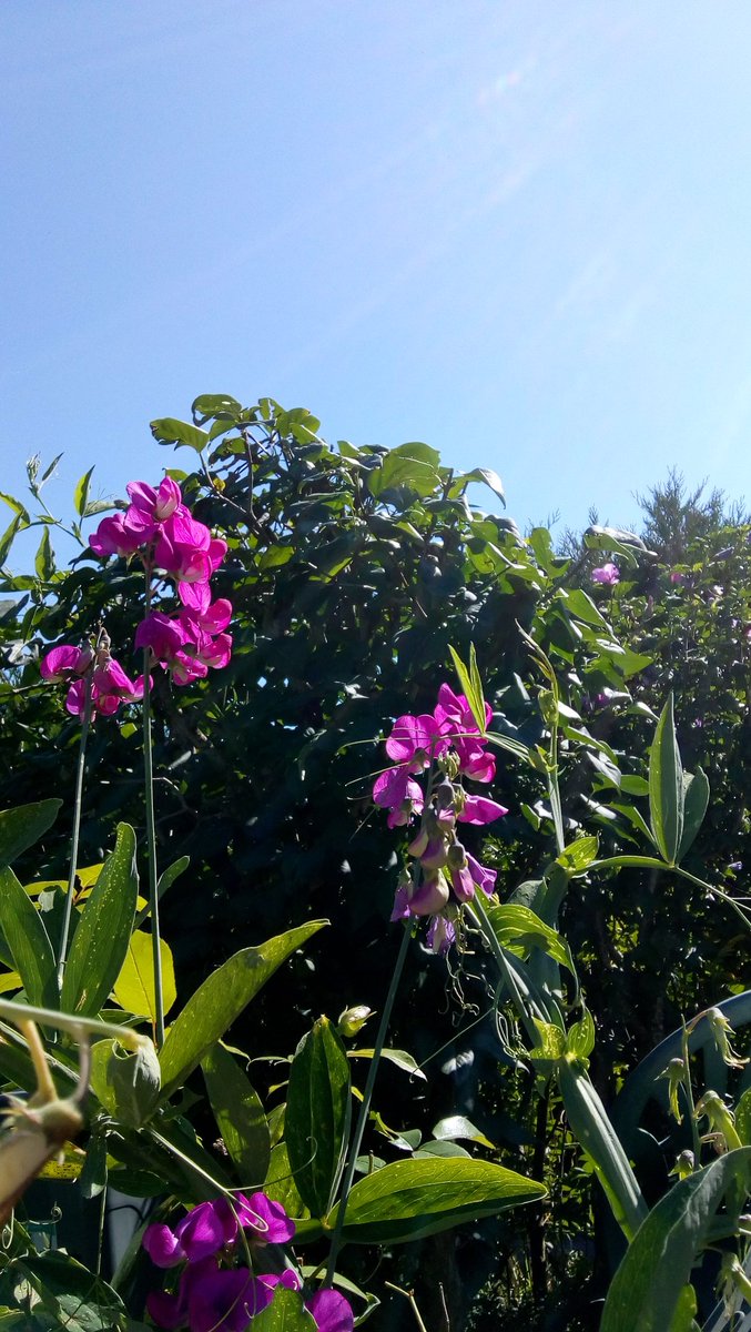 Hello mes Xos ♥️,
Je ne fais que passer !

J'ai grignoté et je repars. Mais j'ai fait ces deux photos pour vous quand même 😄

Bisous 💋 Bel après-midi à vous !
À ce soir pour vous lire !