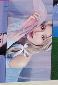 トラちゃん tweet media